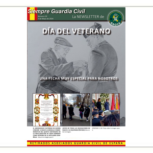 Newsletter 29
